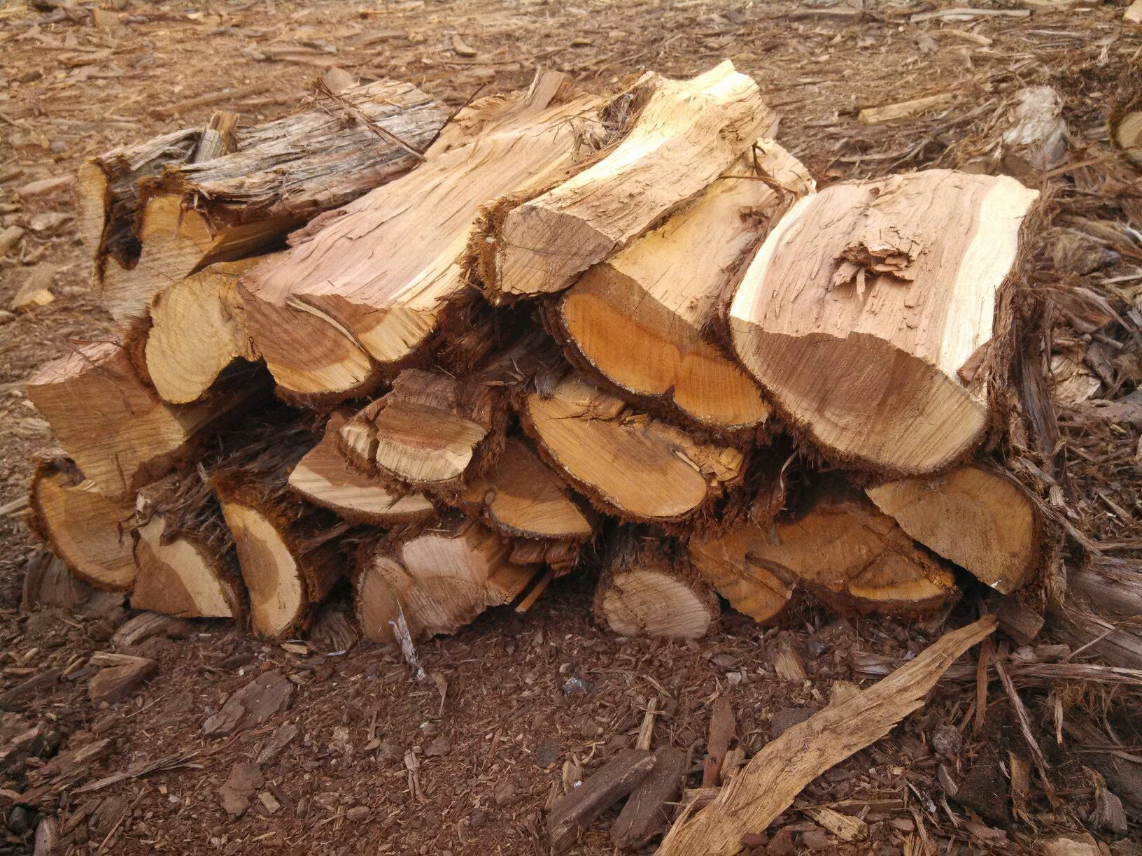 Juniper - A fragrant wood